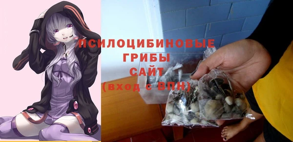 Альфа ПВП Арсеньев