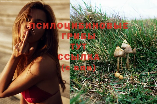 марки nbome Сафоново