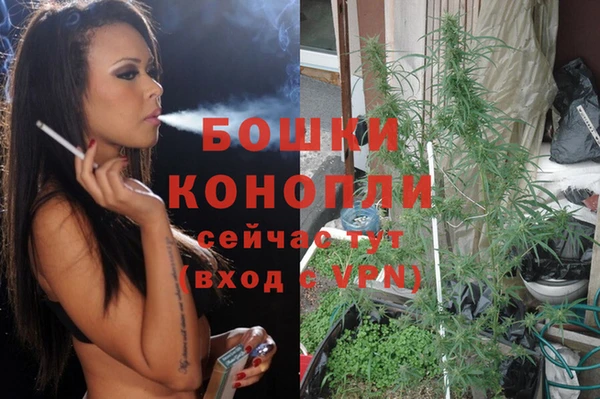 Альфа ПВП Арсеньев