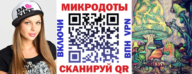 OMG зеркало  Рославль  Псилоцибиновые грибы Cubensis 